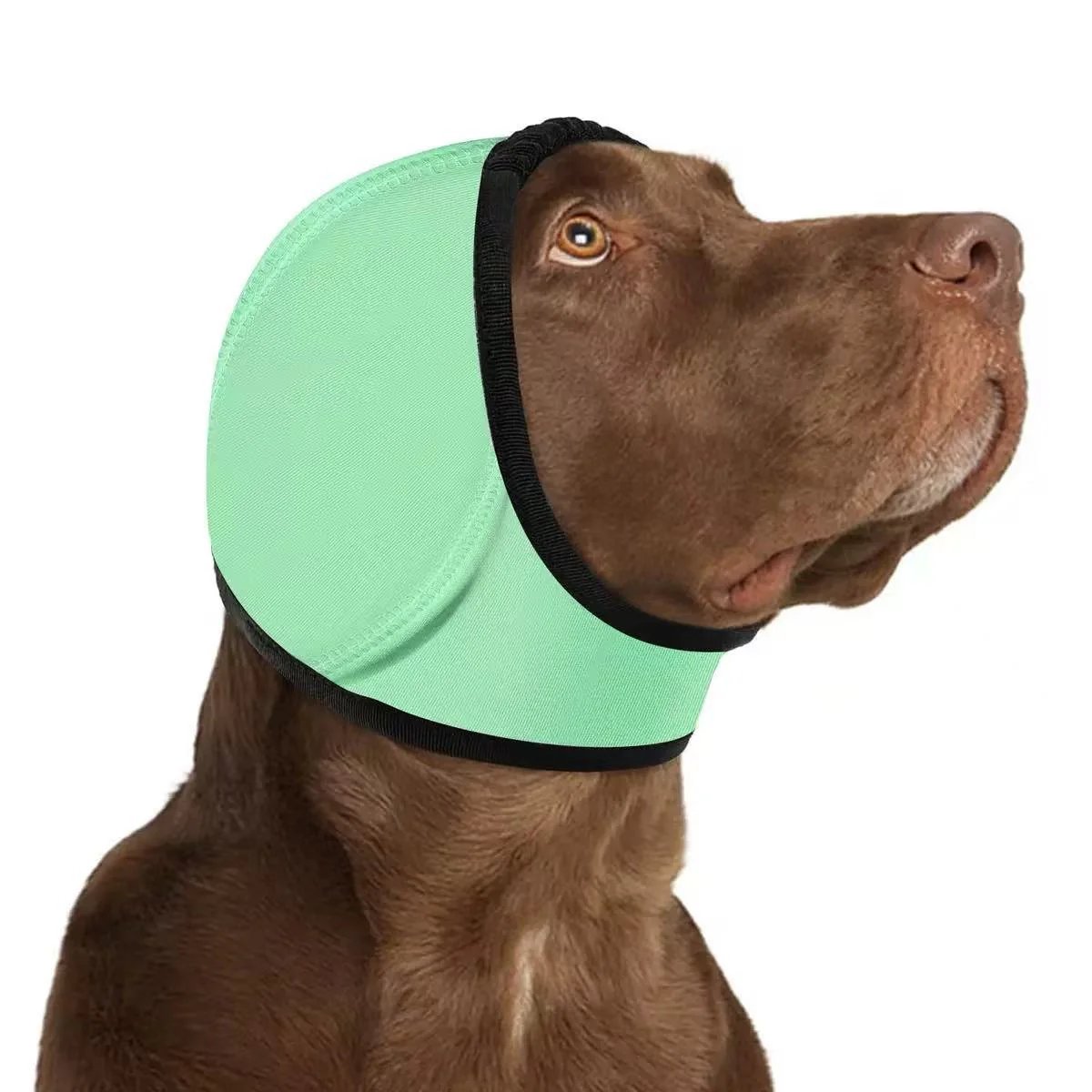 🐶 Calm Your Dog Instantly | 49% OFF Now