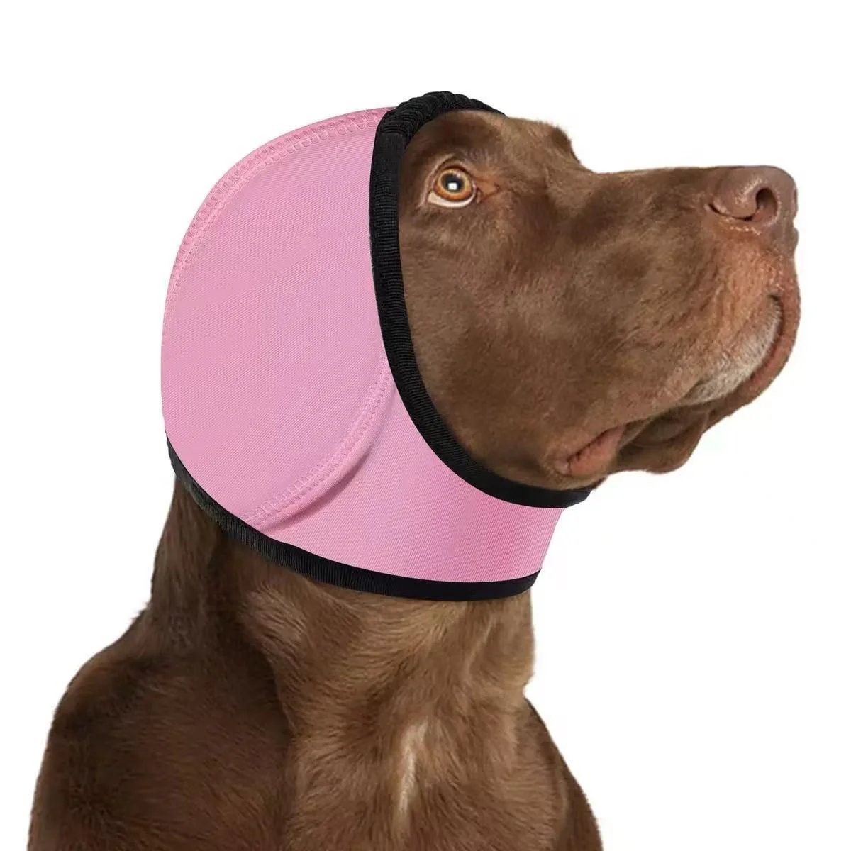 🐶 Calm Your Dog Instantly | 49% OFF Now