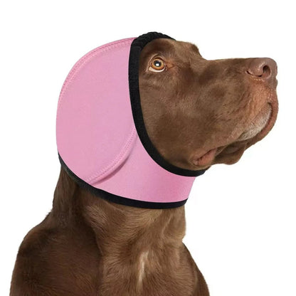 🐶 Calm Your Dog Instantly | 49% OFF Now